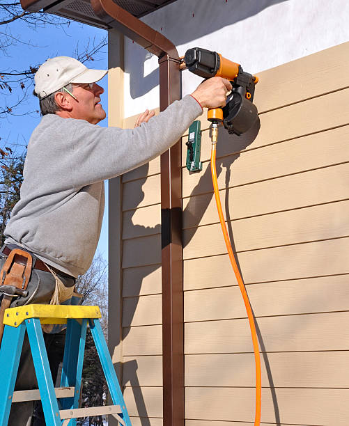 Best Custom Siding Design  in Mendon, UT